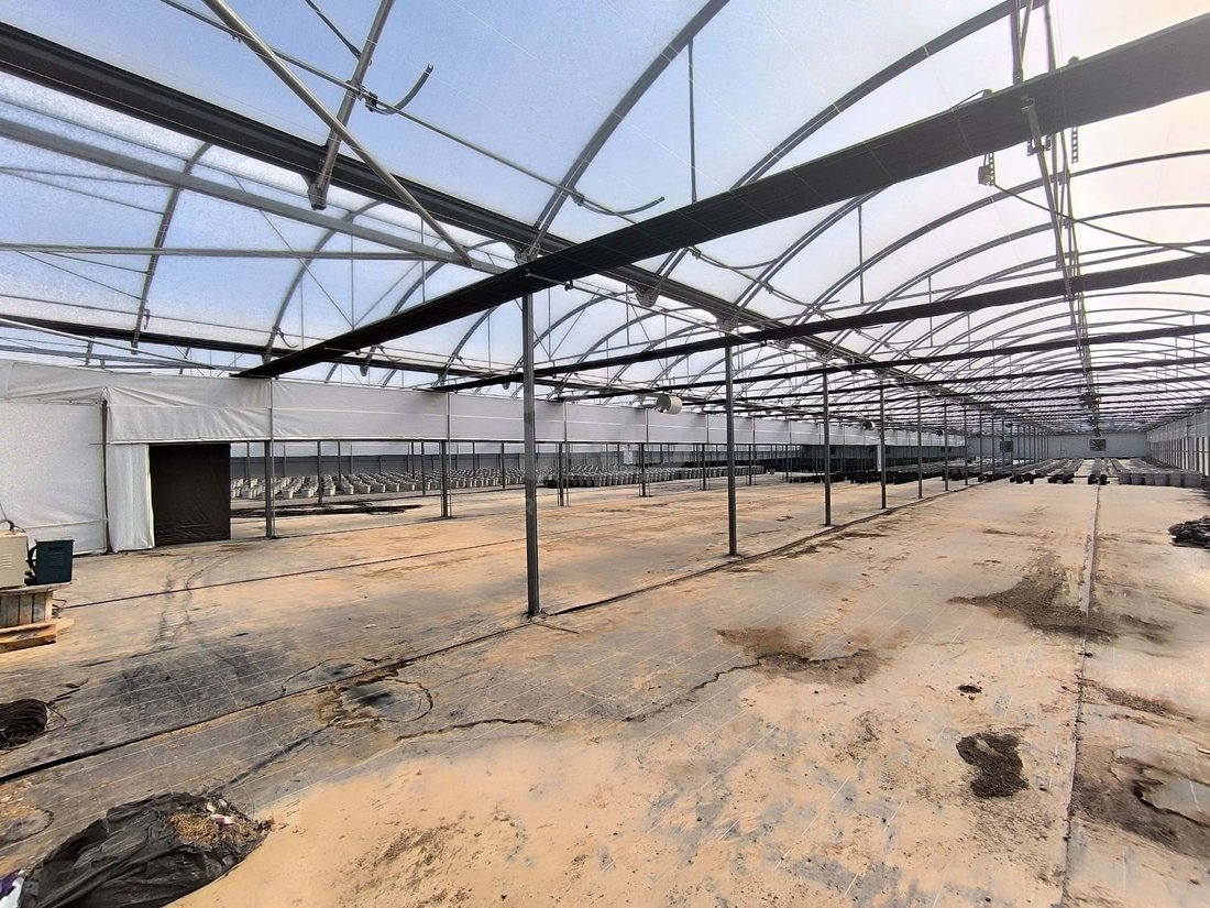 Land in Flix, Catalonia, Spain 5 - 16361051
