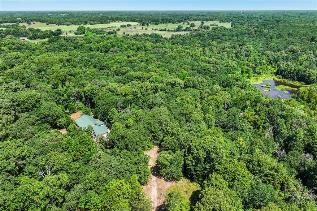 House in Quitman, Texas, United States 3 - 16515424