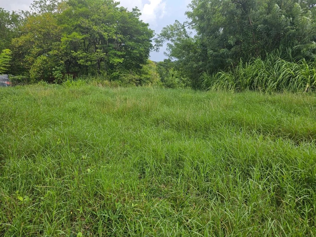 Land in Les Trois-Îlets, Le Marin, Martinique 1 - 16528954