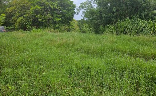 Land in Les Trois-Îlets, Le Marin, Martinique 1