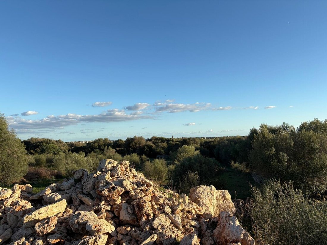 Land in Sant Llorenc des Cardassar, Balearic Islands, Spain 3 - 16529696