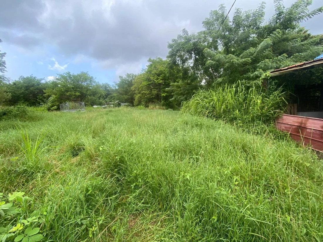 Land in Les Trois-Îlets, Le Marin, Martinique 5 - 16528954