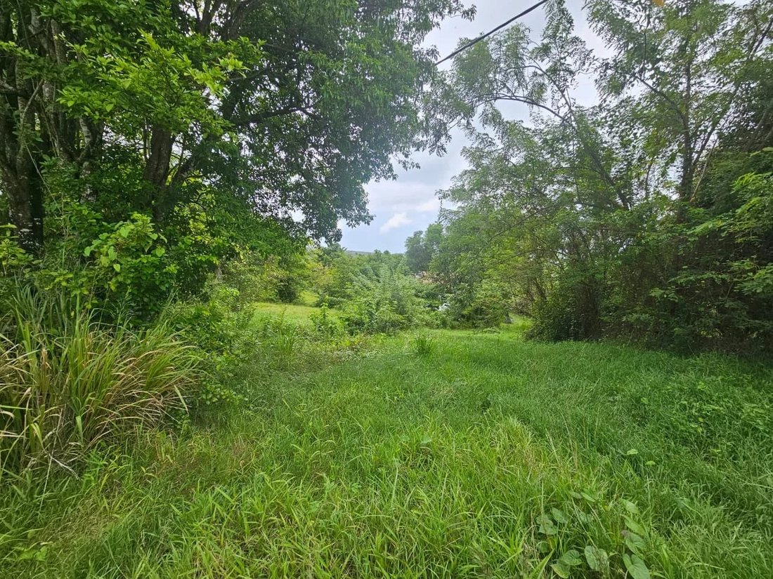 Land in Les Trois-Îlets, Le Marin, Martinique 2 - 16528954