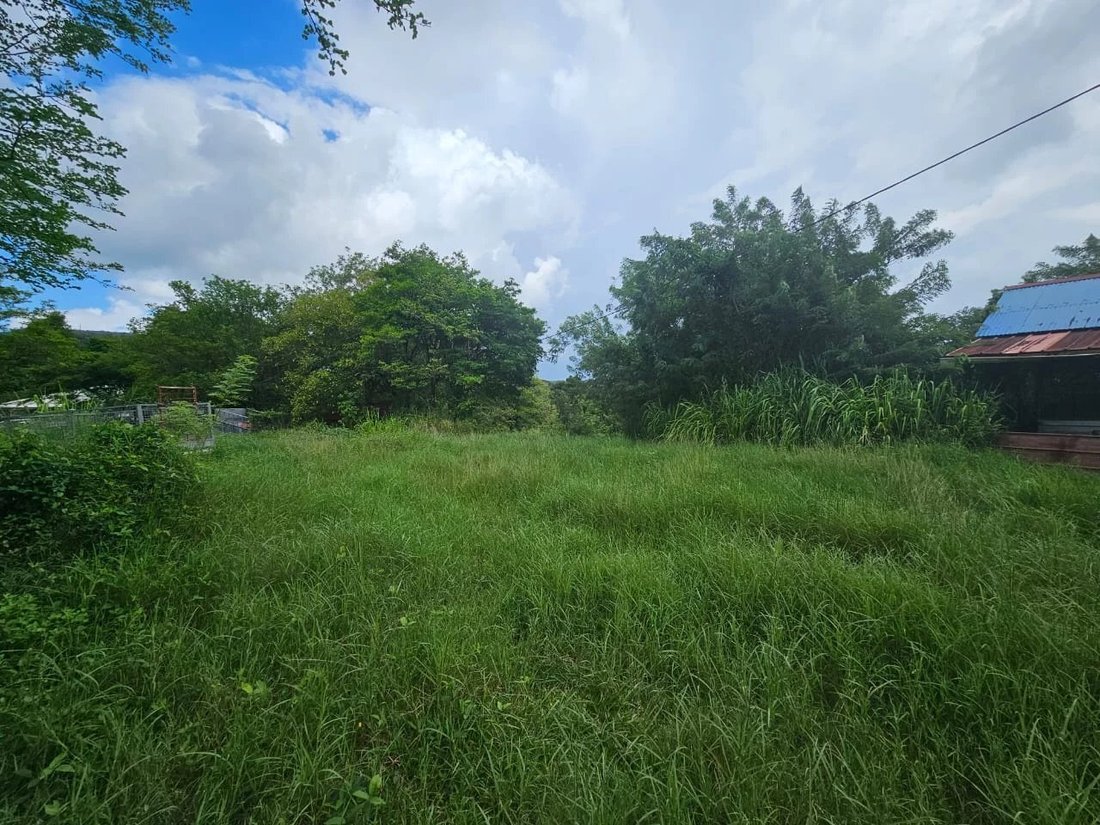 Land in Les Trois-Îlets, Le Marin, Martinique 4 - 16528954