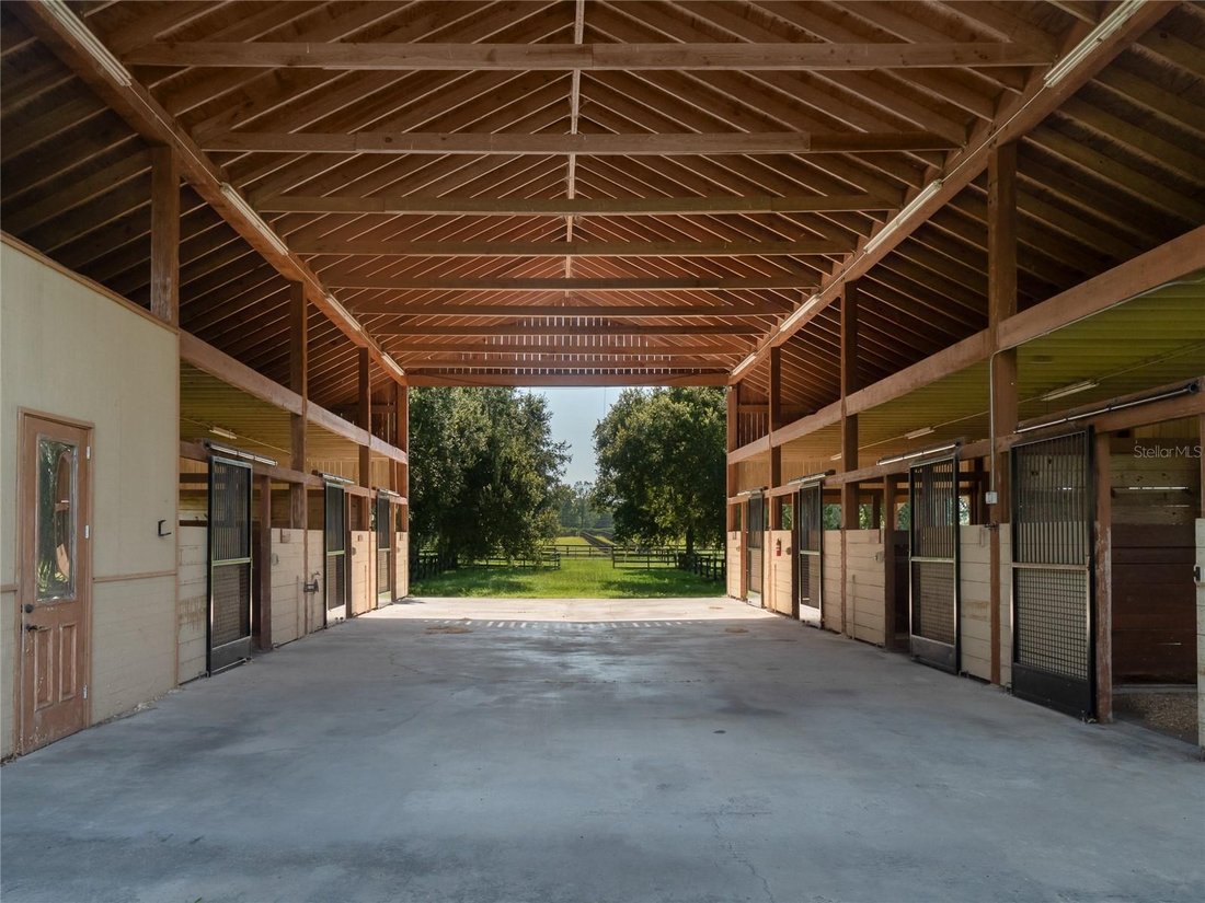 Farm Ranch in Ocala, Florida, United States 5 - 16528897