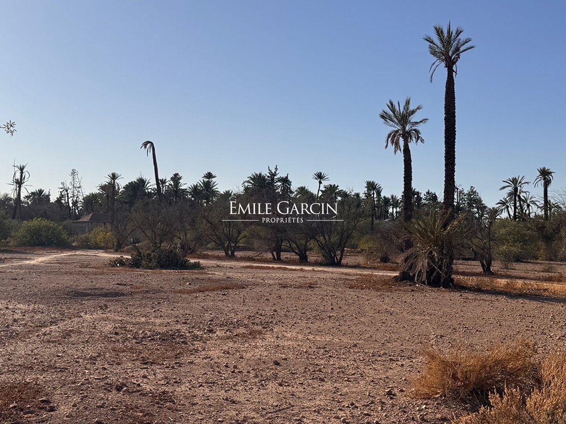 Land in Marrakesh, Marrakesh-Safi, Morocco 2 - 16530903