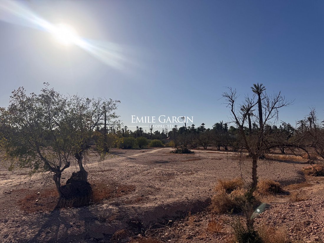 Land in Marrakesh, Marrakesh-Safi, Morocco 1 - 16530903