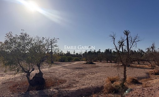 Land in Marrakesh, Marrakesh-Safi, Morocco 1