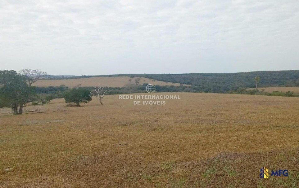 Farm Ranch in Guareí, State of São Paulo, Brazil 4 - 16531577