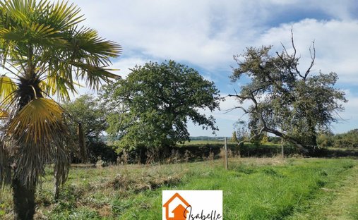 Château Vic Fezensac 503.14 Sqm 9 Rooms