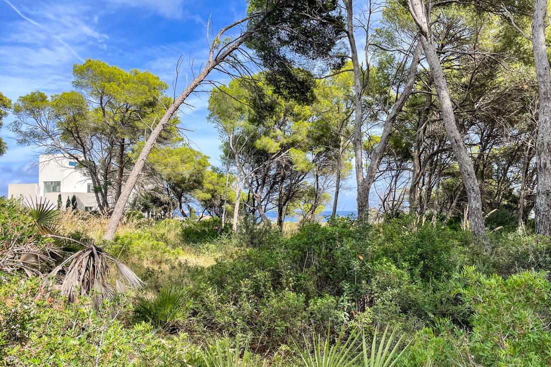 Terreno a Capdepera, Isole Baleari, Spagna 5 - 16532998