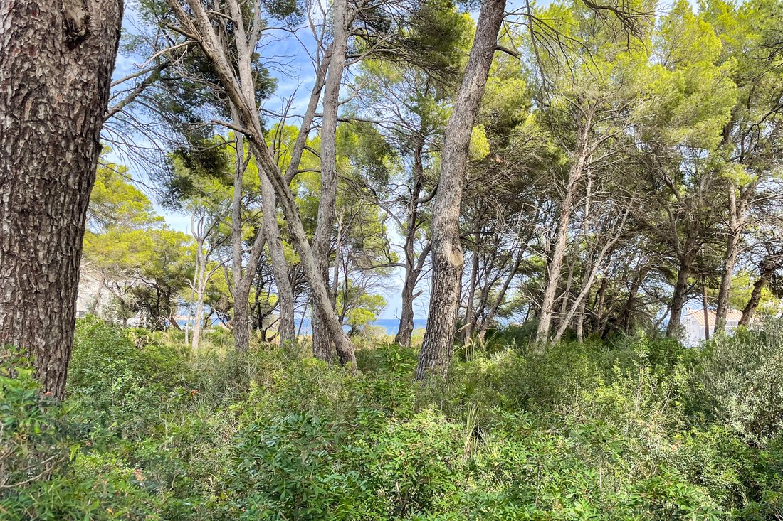 Terreno a Capdepera, Isole Baleari, Spagna 3 - 16532998