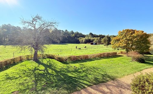 Château For Sale Near Tours
