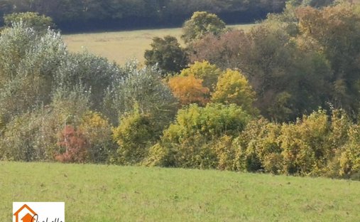 Château Vic Fezensac 503.14 Sqm 9 Rooms