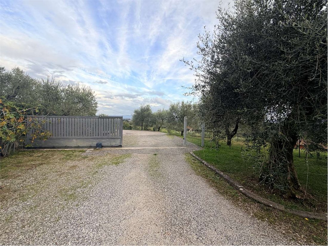Estate in Petrognano - San Gennaro, Capannori, Tuscany 3 - 16534820