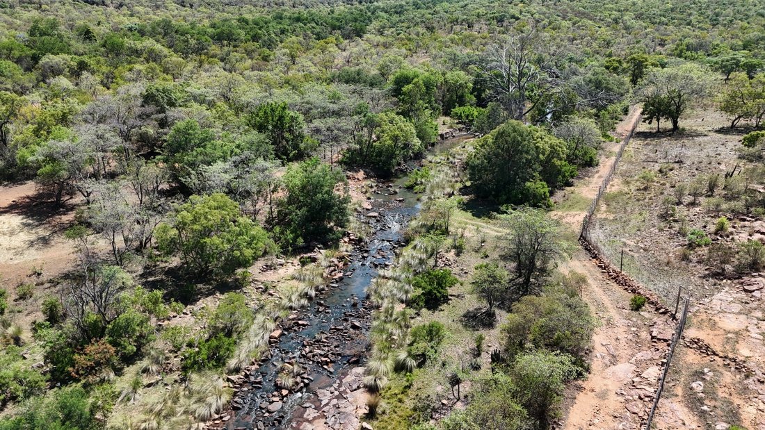 Farm Ranch in Bela-Bela, Limpopo, South Africa 3 - 16533862