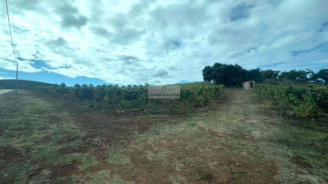 Odiaxere, Algarve, Portugal 5 - 16534030