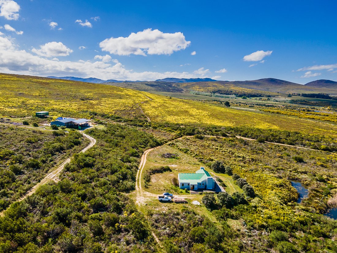 Farm Ranch in Stanford, Western Cape, South Africa 1 - 16533858