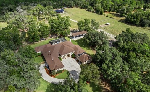 House in Crystal River, Florida, United States 1