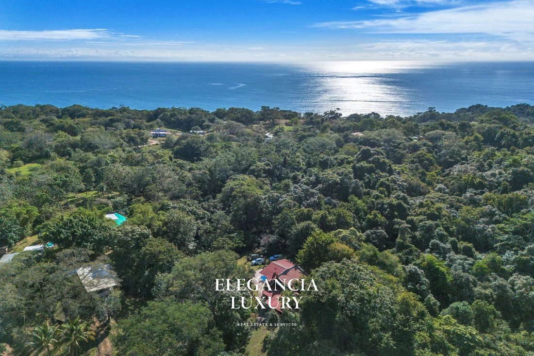 Villa in Cedros, Provinz Puntarenas, Costa Rica 2 - 16533276