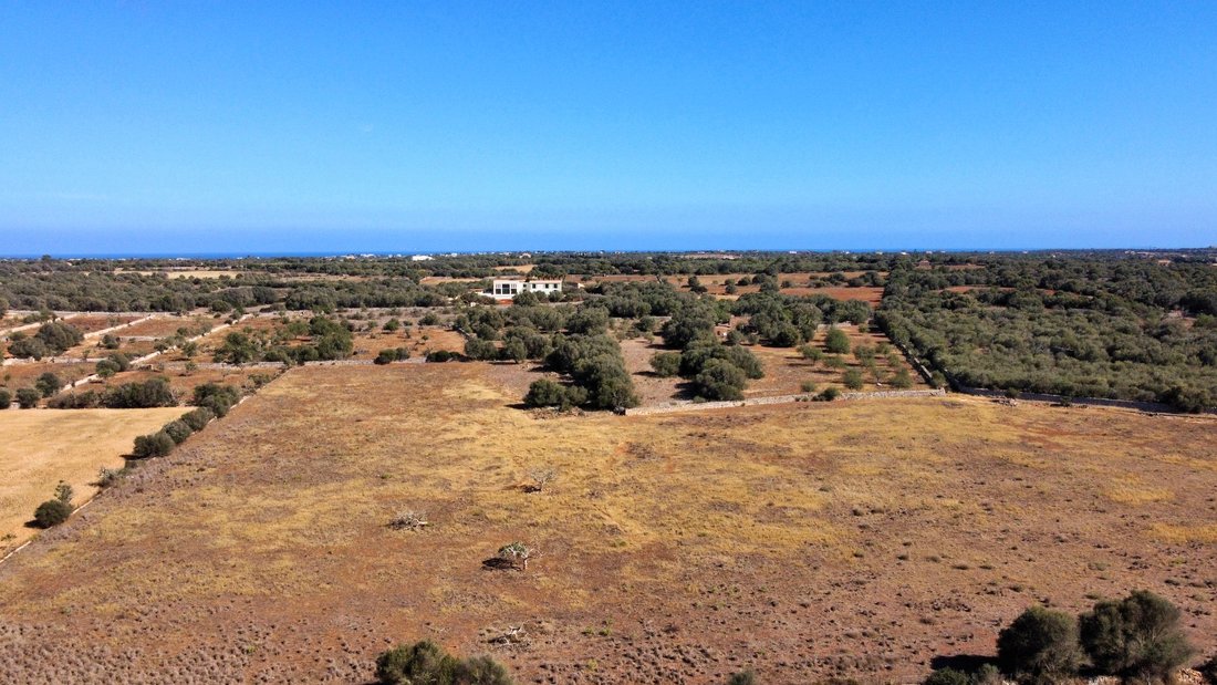 Land in Santanyi, Balearic Islands, Spain 1 - 14339766
