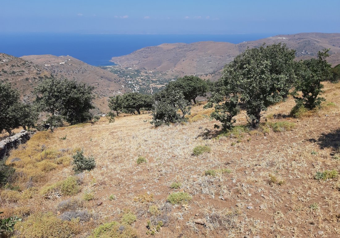 Land in Kea, Aegean, Greece 1 - 16538505