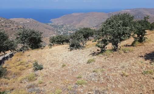 Land in Kea, Aegean, Griechenland 1