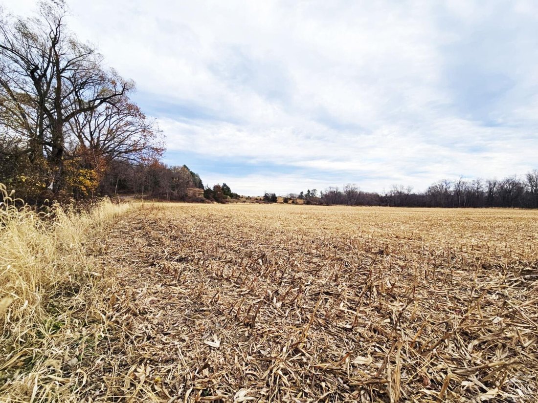 Farm Ranch in Hudson, New York, United States 4 - 16539854