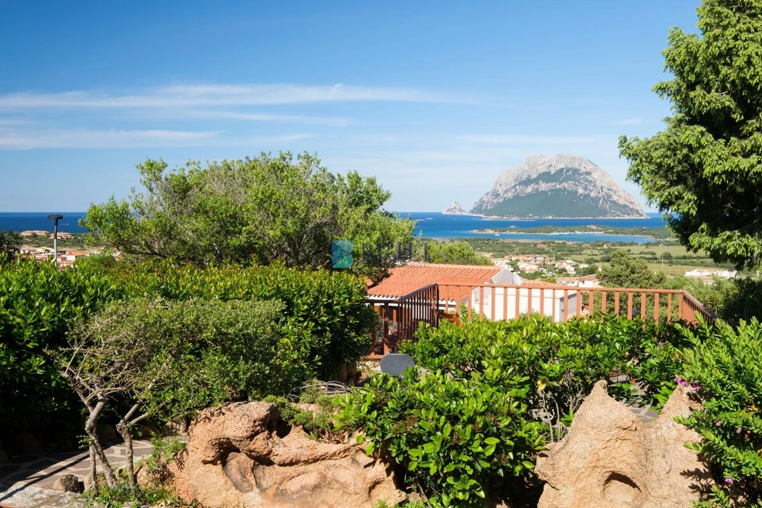 Villa in Loiri Porto San Paolo, Sardinia, Italy 3 - 15584647