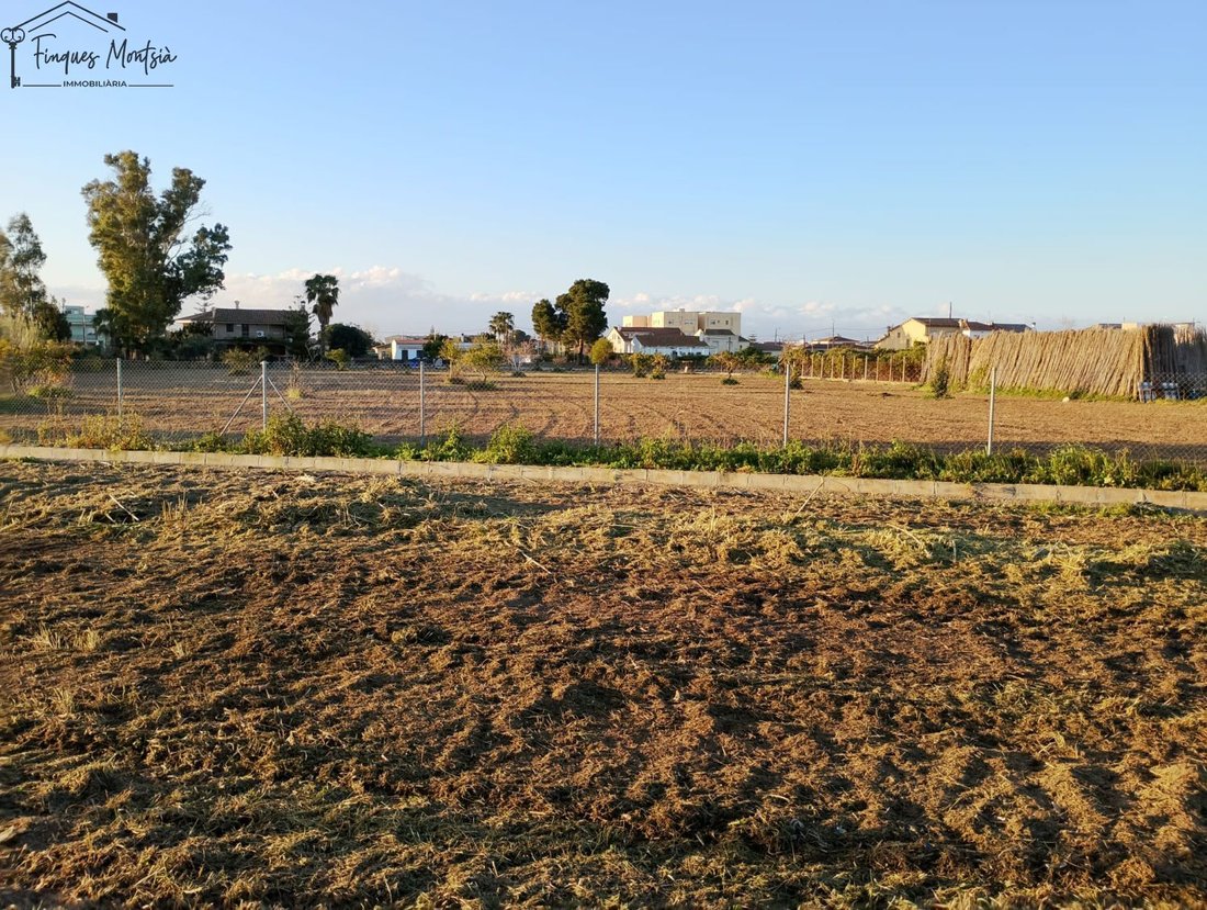 Land in Deltebre, Catalonia, Spain 3 - 16539960
