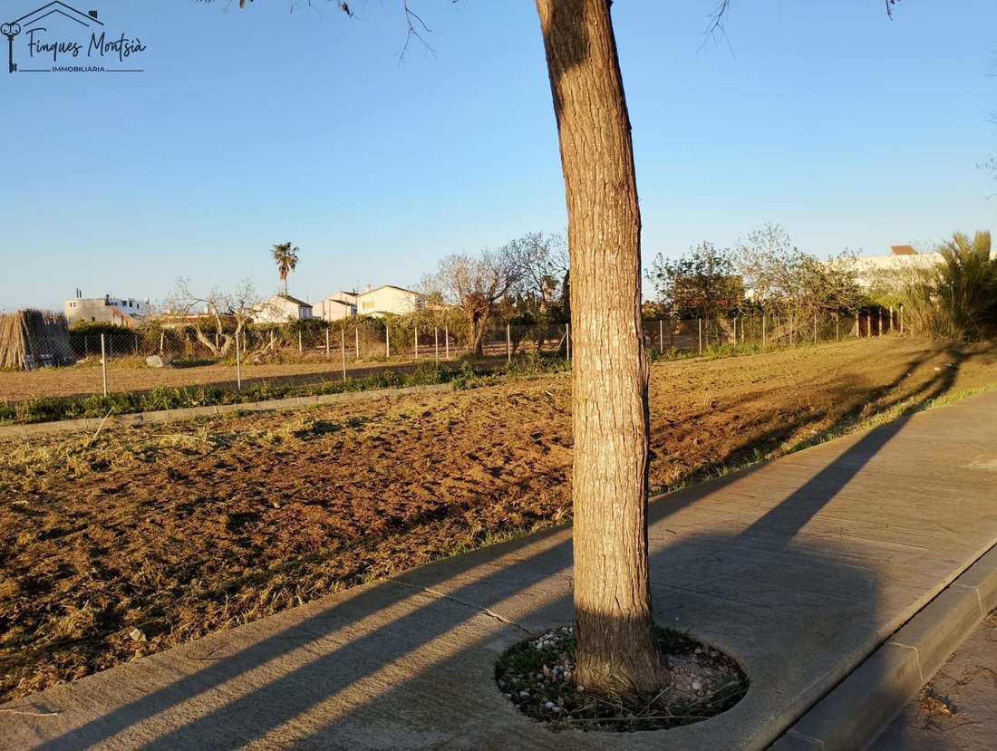 Land in Deltebre, Catalonia, Spain 5 - 16539960