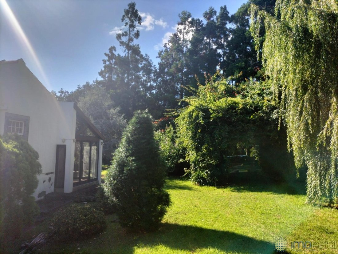 Townhouse in Feteira, Azores, Portugal 4 - 15991978