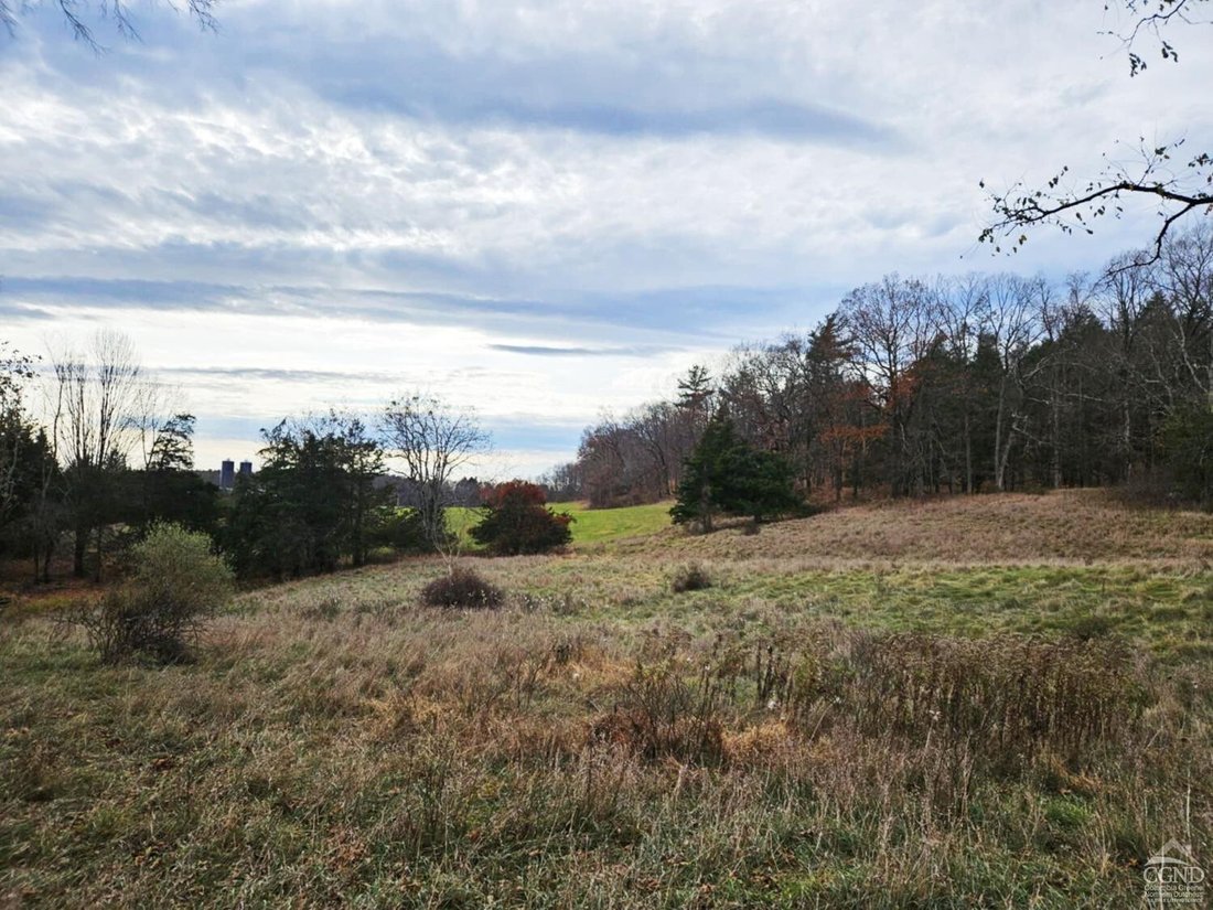 Farm Ranch in Hudson, New York, United States 3 - 16539854