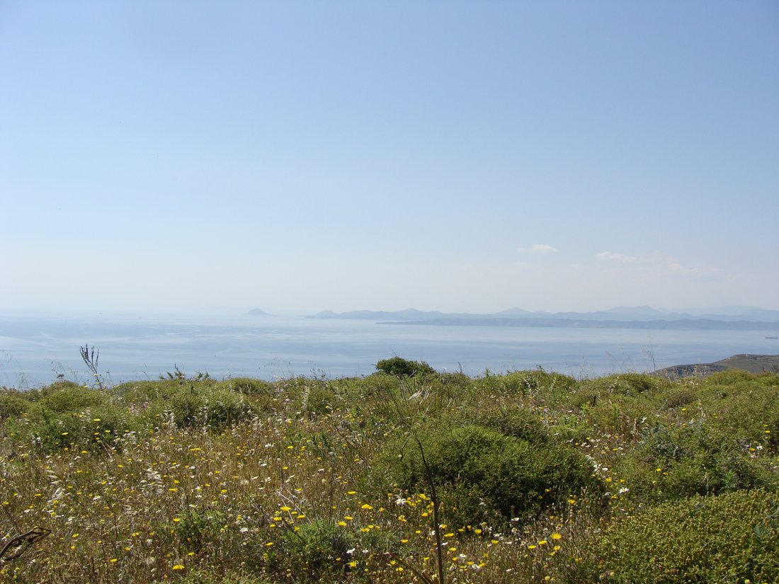 Land in Kea, Aegean, Griechenland 2 - 16538426