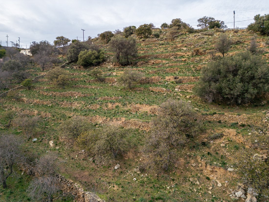 Land in Kea, Aegean, Greece 2 - 16538568