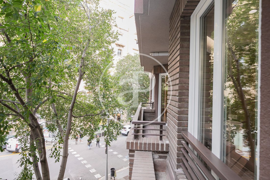 Apartment in Eixample, Barcelona, Spain 3 - 15190090