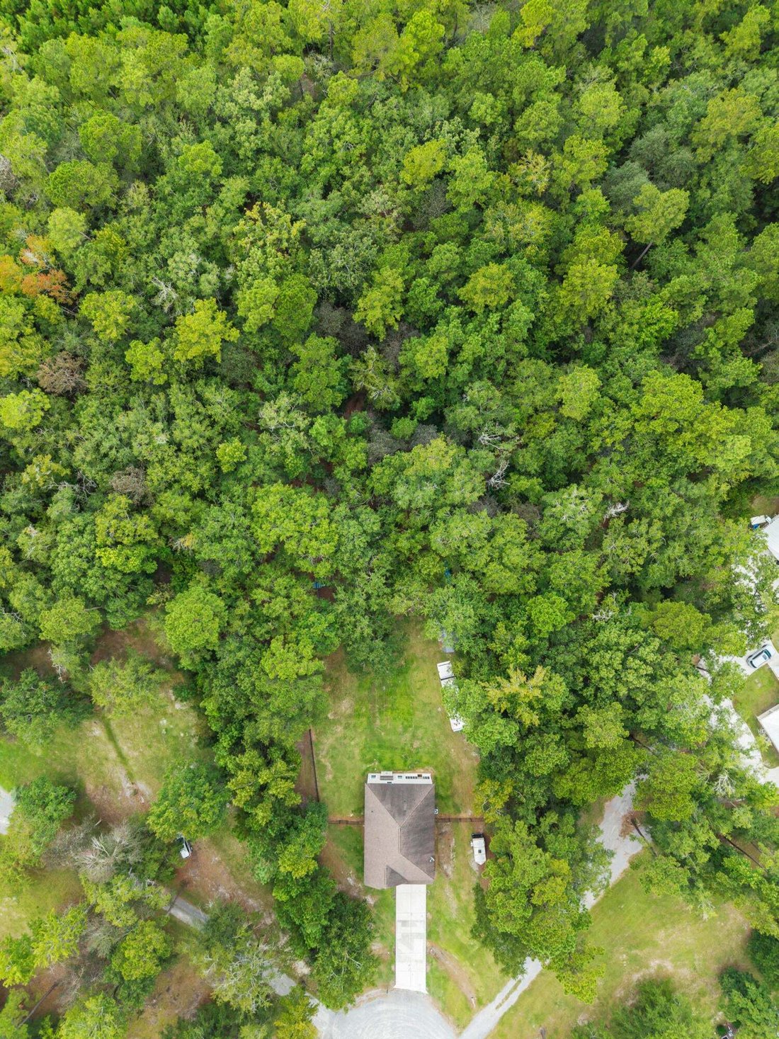 House in Moncks Corner, South Carolina, United States 4 - 16184188