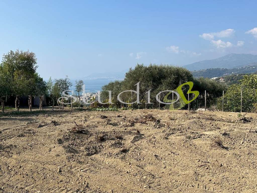 Terrain à Bordighera, Ligurie, Italie 5 - 16398619