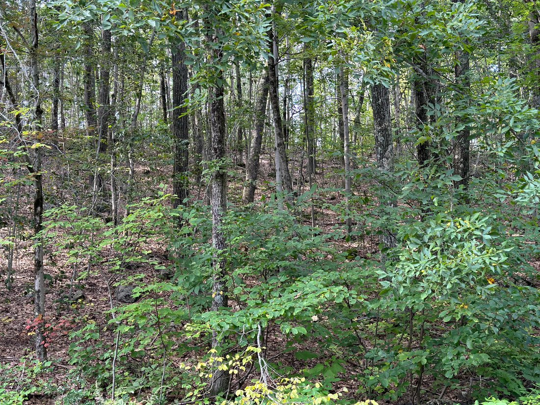 Land in Warren, Connecticut, United States 4 - 16542852