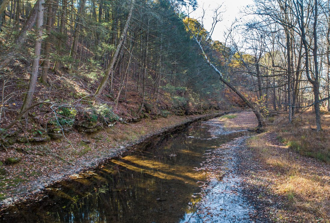 Land in Erwinna, Pennsylvania, United States 3 - 16540249