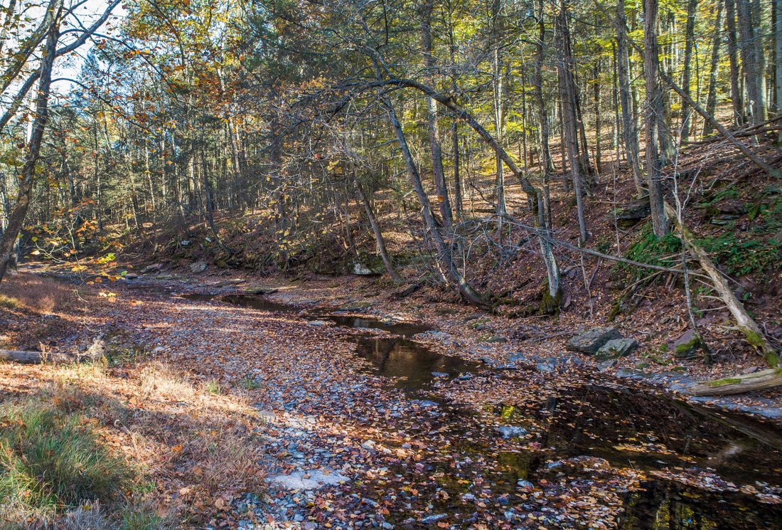 Land in Erwinna, Pennsylvania, United States 5 - 16540249