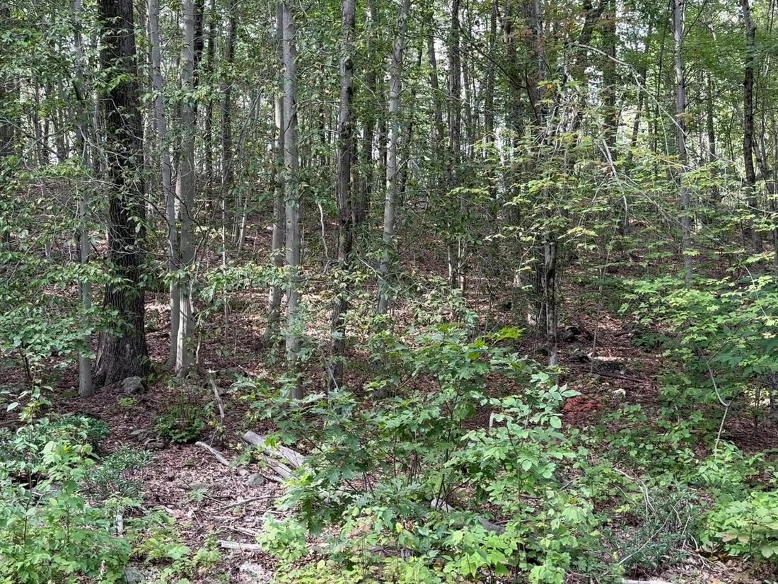 Land in Warren, Connecticut, United States 5 - 16542852