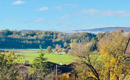 Castle for Sale in Saint-Julien-en-Genevois, Auvergne-Rhône-Alpes, France