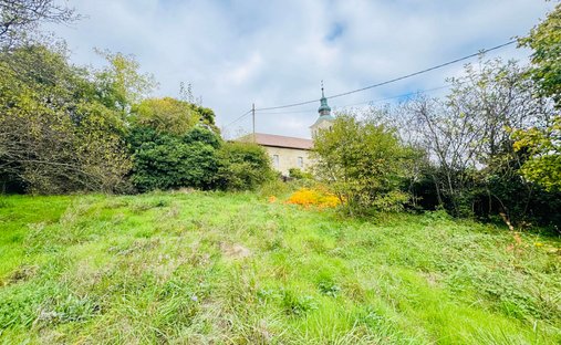 Castle for Sale in Saint-Julien-en-Genevois, Auvergne-Rhône-Alpes, France