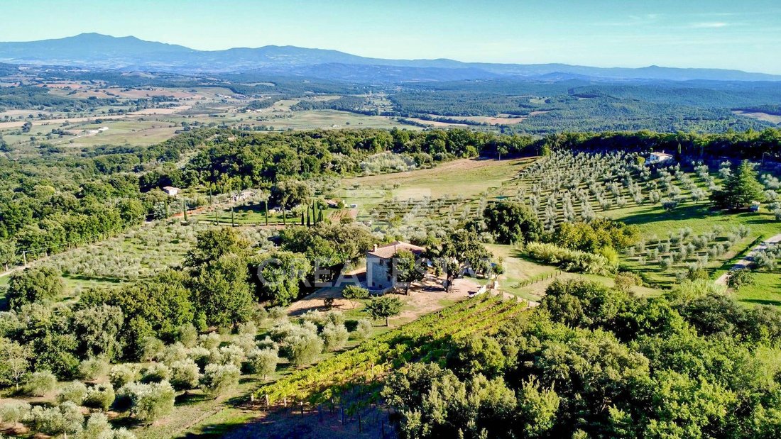 Estate in Roccastrada, Tuscany, Italy 4 - 16540819