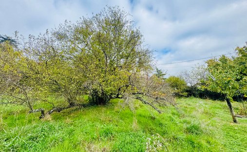 Castle for Sale in Saint-Julien-en-Genevois, Auvergne-Rhône-Alpes, France