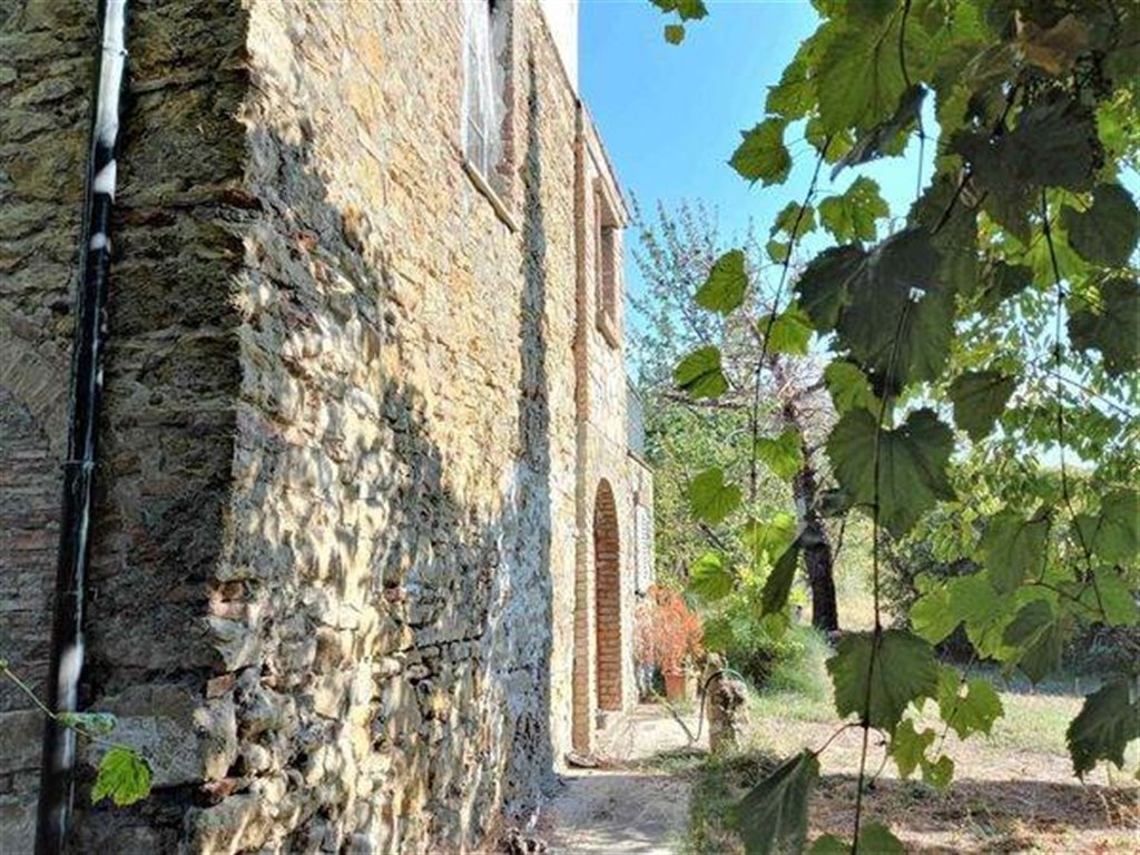 Country House in Riparbella, Tuscany, Italy 5 - 16538762