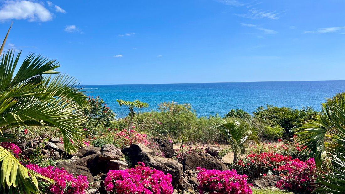 Apartment in Flic En Flac Beach, Rivière Noire District, Mauritius 4 - 16543063