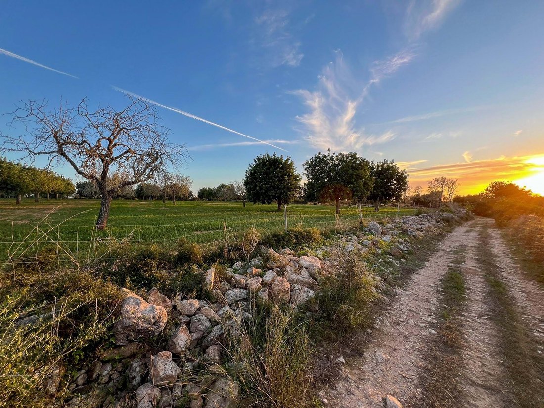 Land in Felanitx, Balearic Islands, Spain 2 - 16538396