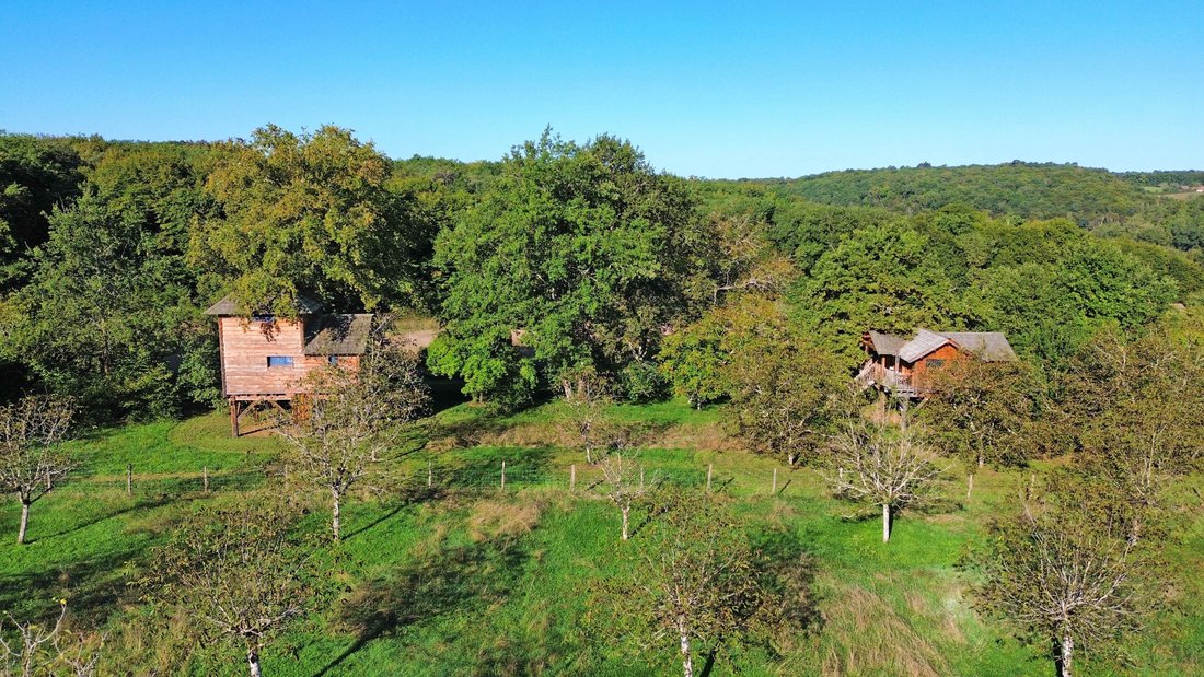 Estate in Cause-de-Clerans, Nouvelle-Aquitaine, France 2 - 16539372